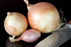 On the Chopping Block: Onions and Shallots