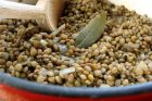 preparing dry lentils