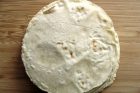 homemade corn tortillas