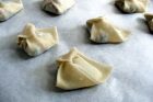 vegetable wontons