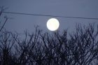 good night 2010