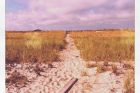 the long way home