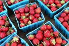 in season {strawberries & jam making}