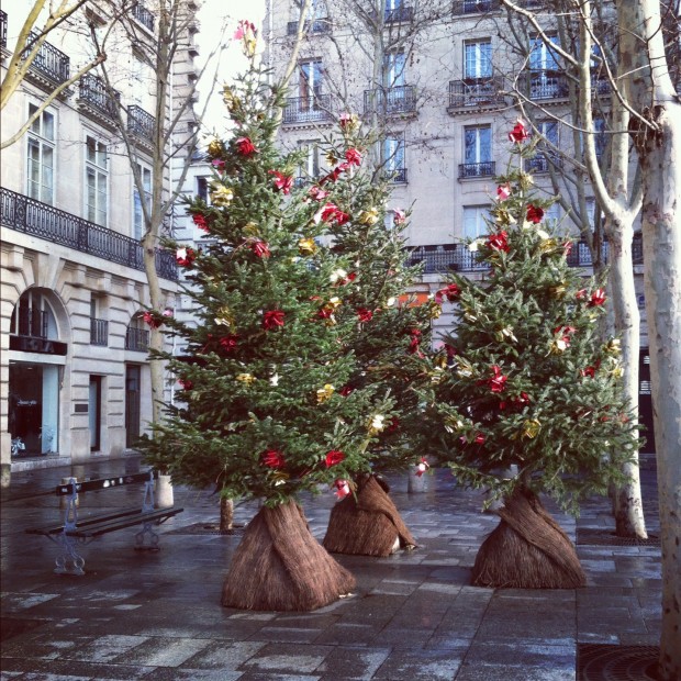 Saint Suplice Christmas Trees