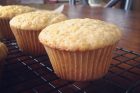 orange poppy olive oil muffins