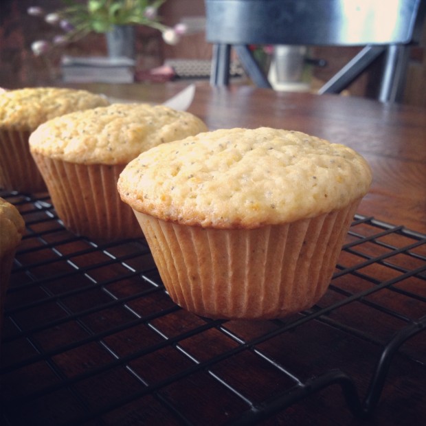 orange poppy olive oil muffins