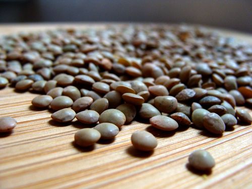 Lentil_banner