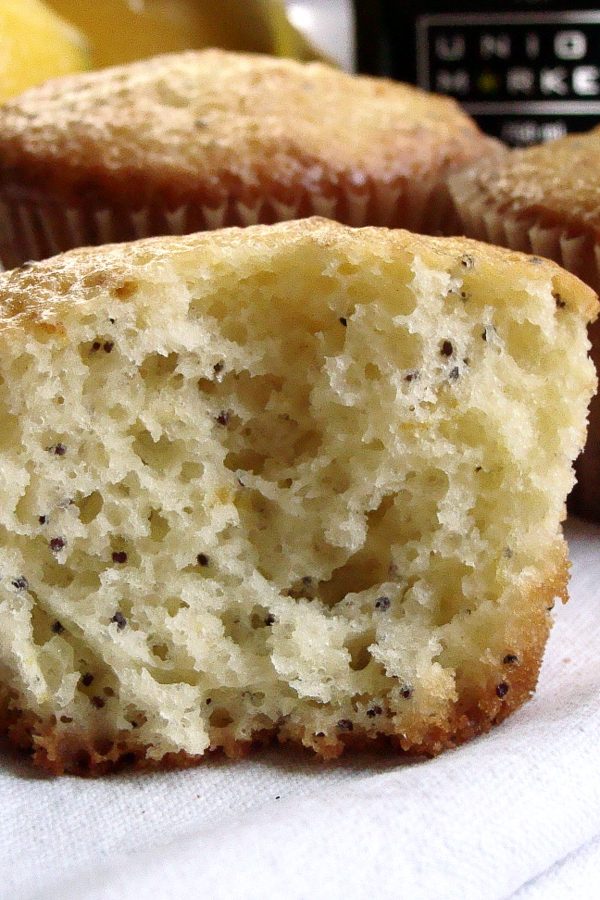 chocolate olive oil cupcakes In Jennie's Kitchen