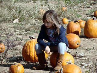 contemplating pumpkins