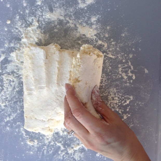 Two Ingredient Biscuits 07