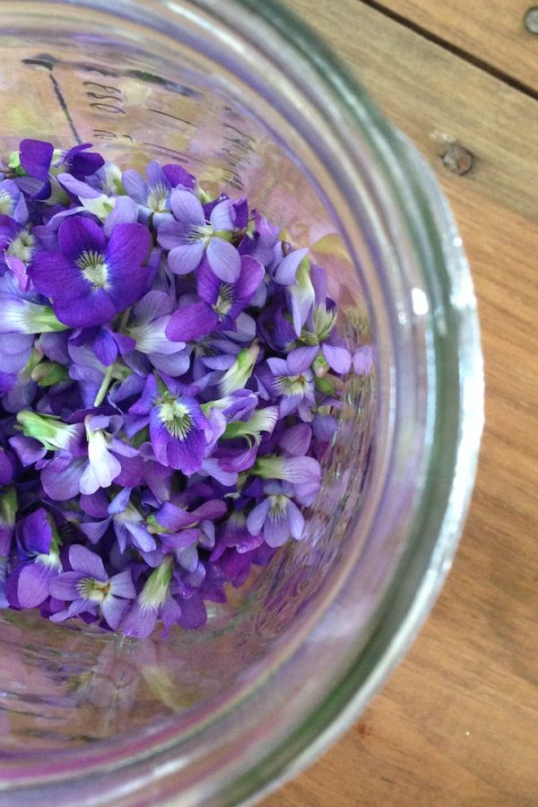 Raspberry Violet Jam {recipe} In Jennie's Kitchen