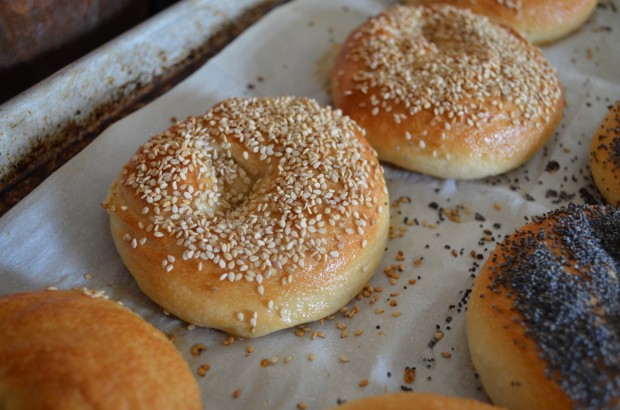 Homemade Bagels | In Jennie's Kitchen