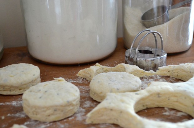 Gruyere Cheese & Rosemary Buttermilk Biscuits | www.injennieskitchen.com