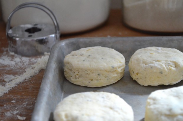 Gruyere Cheese & Rosemary Buttermilk Biscuits | www.injennieskitchen.com