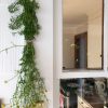 How to Dry Fresh Herbs | In Jennie's Kitchen