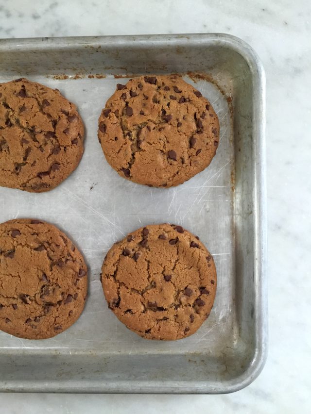 Salted Thyme Chocolate Chip Cookies | In Jennie's Kitchen