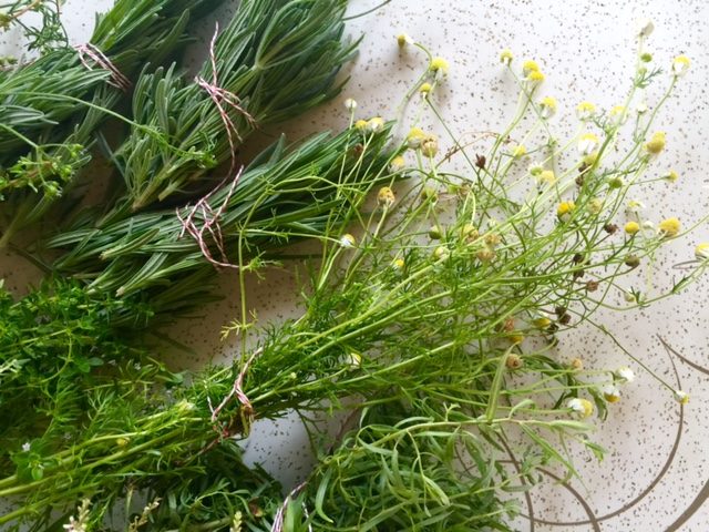 How to Dry Fresh Herbs | In Jennie's Kitchen