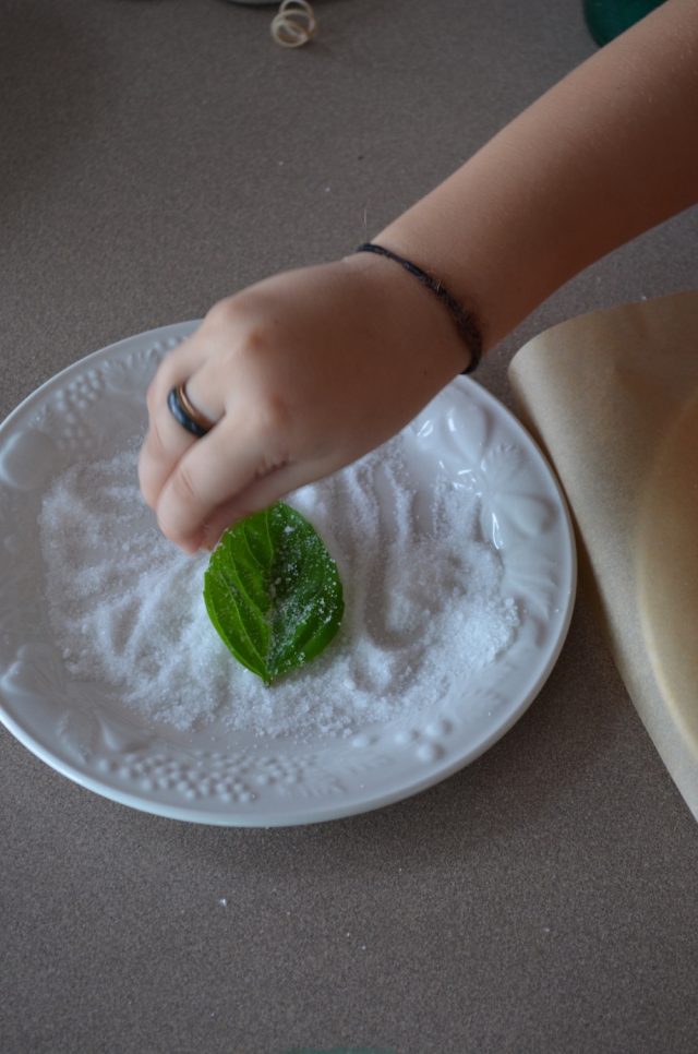 How to Make Candied Basil | Recipe at In Jennie's Kitchen