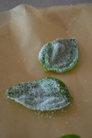 How to Make Candied Basil | Recipe at In Jennie's Kitchen