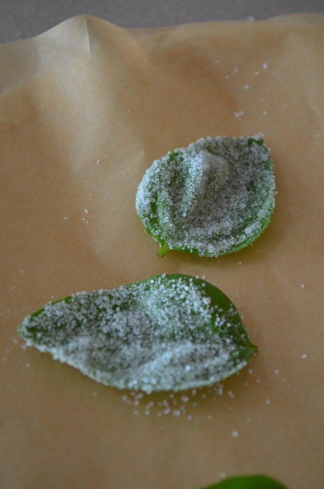 How to Make Candied Basil | Recipe at In Jennie's Kitchen