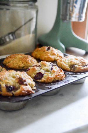 Concord Grape Muffins | In Jennie's Kitchen