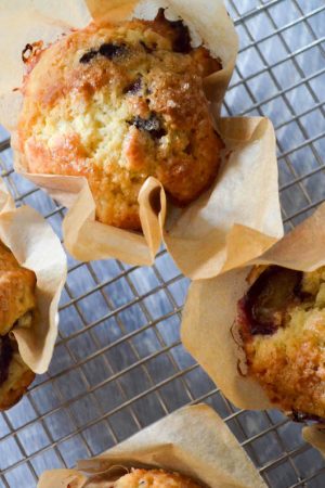 Concord Grape Muffins | In Jennie's Kitchen