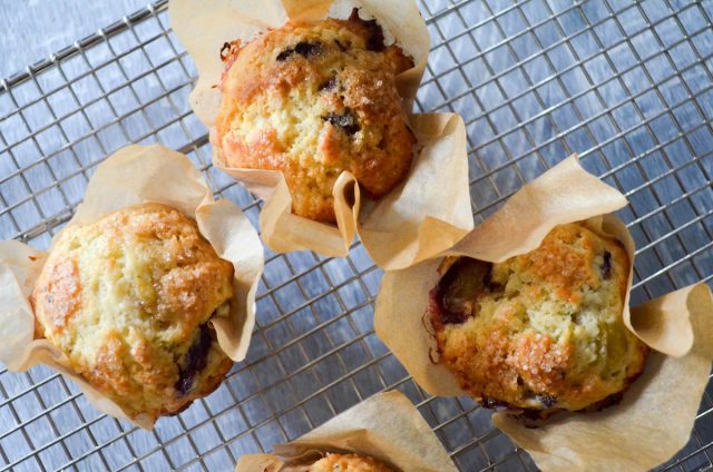 Concord Grape Muffins | In Jennie's Kitchen