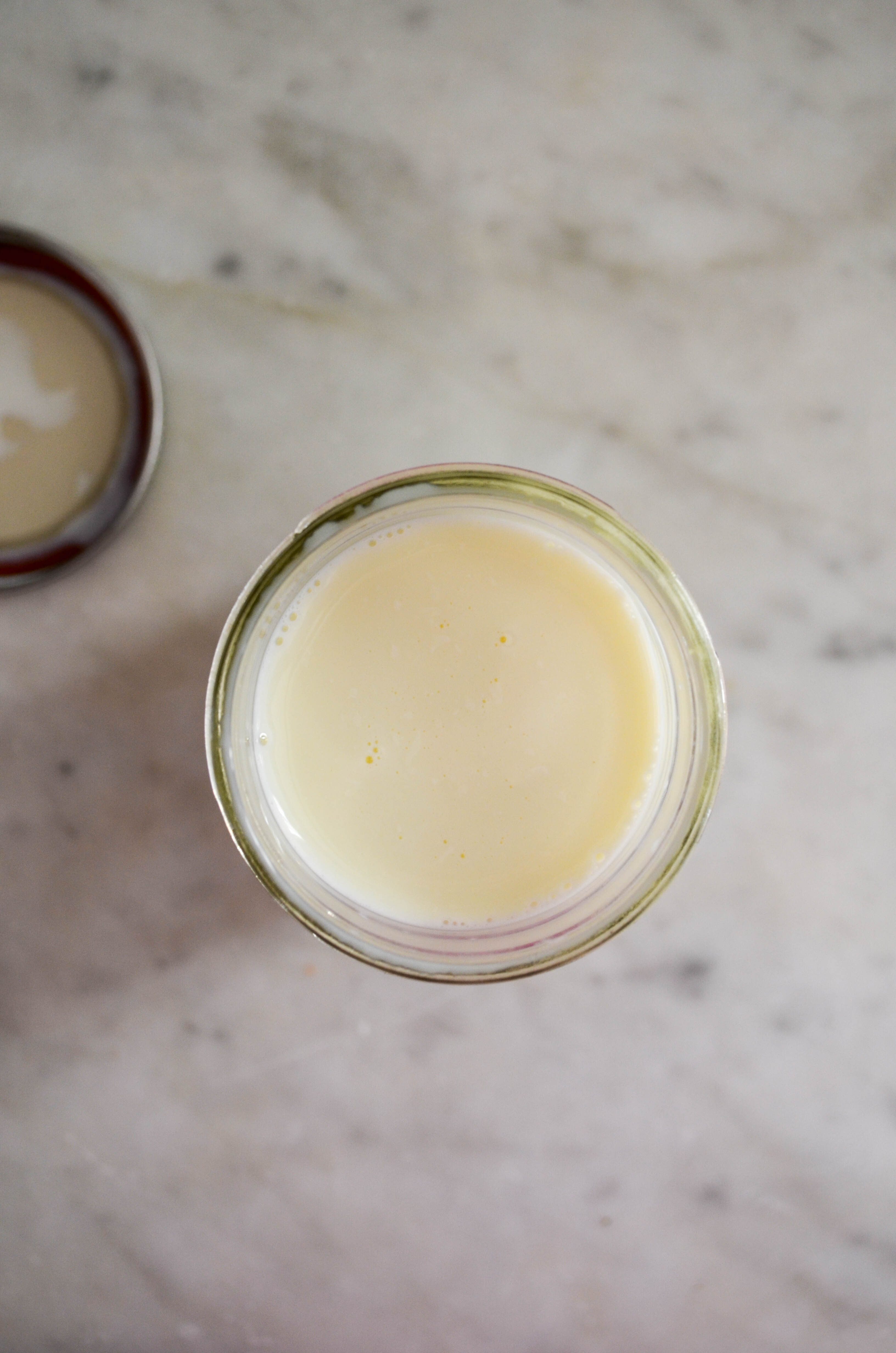 Homemade Evaporated Milk