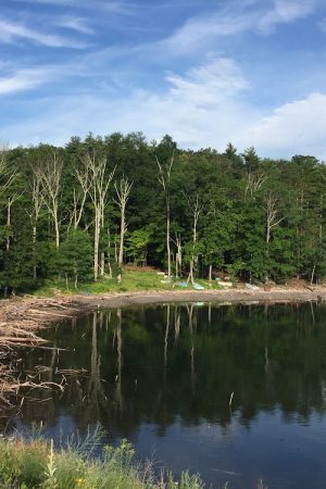 Ashokan Reservoir July 2017 | In Jennie's Kitchen