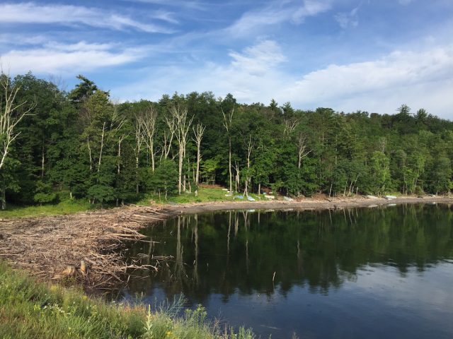 Ashokan Reservoir July 2017 | In Jennie's Kitchen