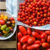 Favorite Tomato Recipes | In Jennie's Kitchen