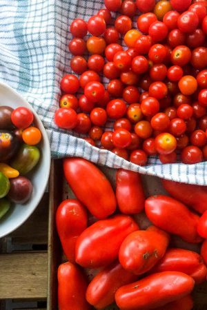 Favorite Tomato Recipes | In Jennie's Kitchen