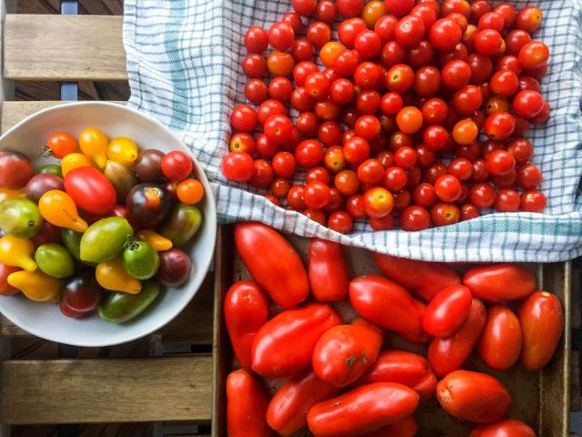 Favorite Tomato Recipes | In Jennie's Kitchen