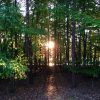 Monday Morning Reads {9.25.2017} | In Jennie's Kitchen
