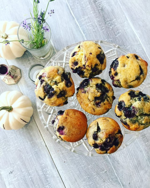 Honey Blueberry Muffins | In Jennie's Kitchen