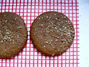 Mom's Gingerbread | In Jennie's Kitchen 01