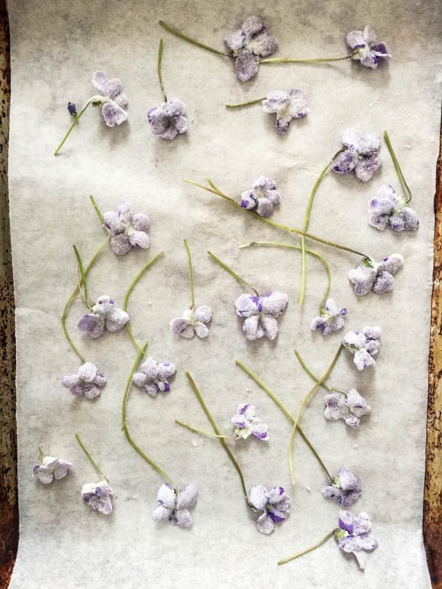 How To Make Candied Violets | In Jennie's Kitchen