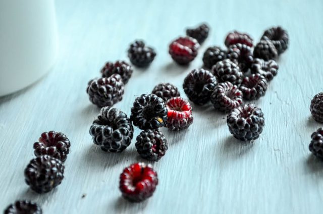 Black Raspberry Sorbet | In Jennie's Kitchen