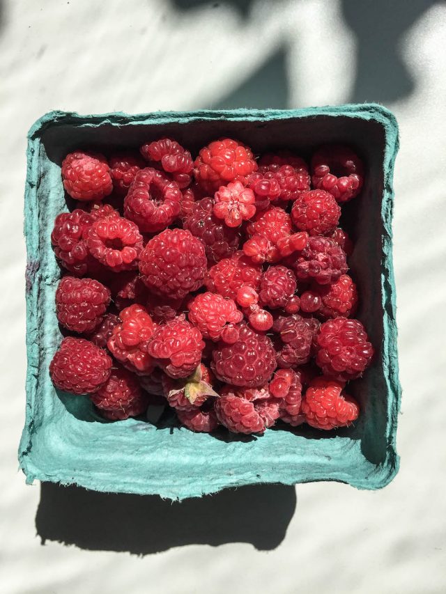 Raspberry Financiers | In Jennie's Kitchen