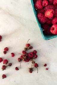 Sun-Dried Raspberries | In Jennie's Kitchen