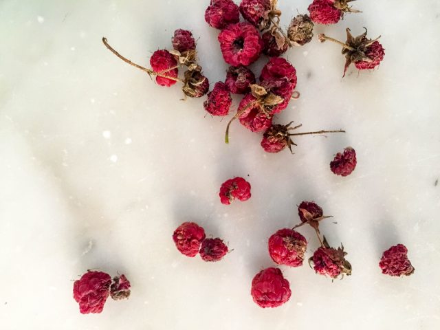 Sun-Dried Raspberries | In Jennie's Kitchen