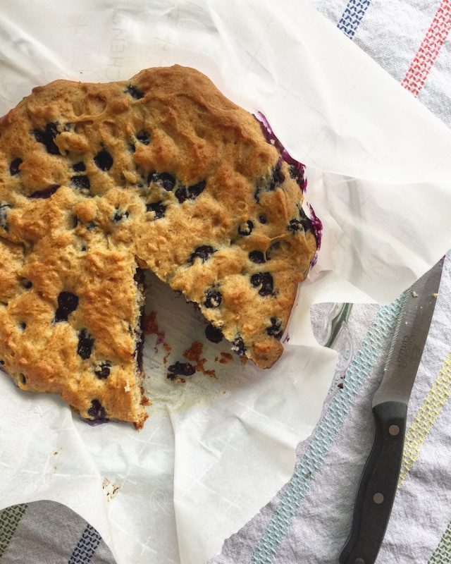 Blueberry Muffin Cake | In Jennie's Kitchen