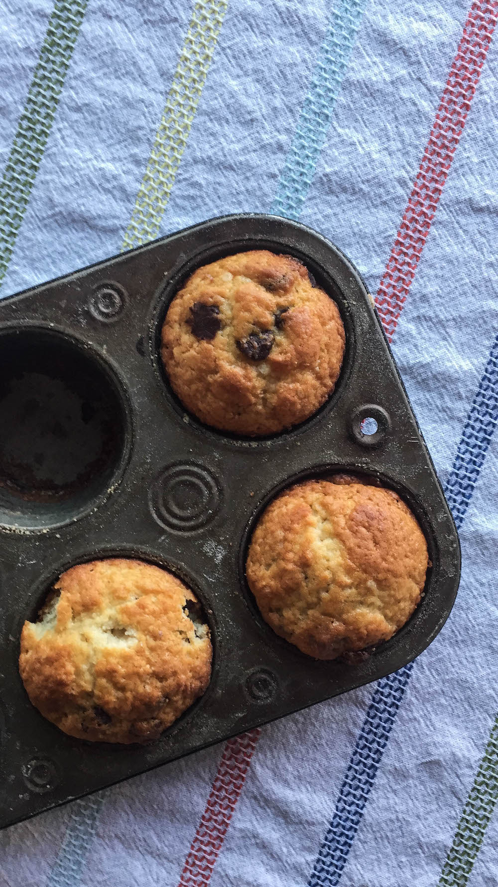 Ridiculously Easy Homemade Chocolate Chip Muffins A Small Batch