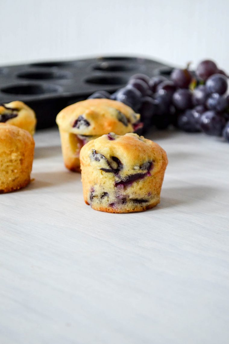 concord grape muffins In Jennie's Kitchen