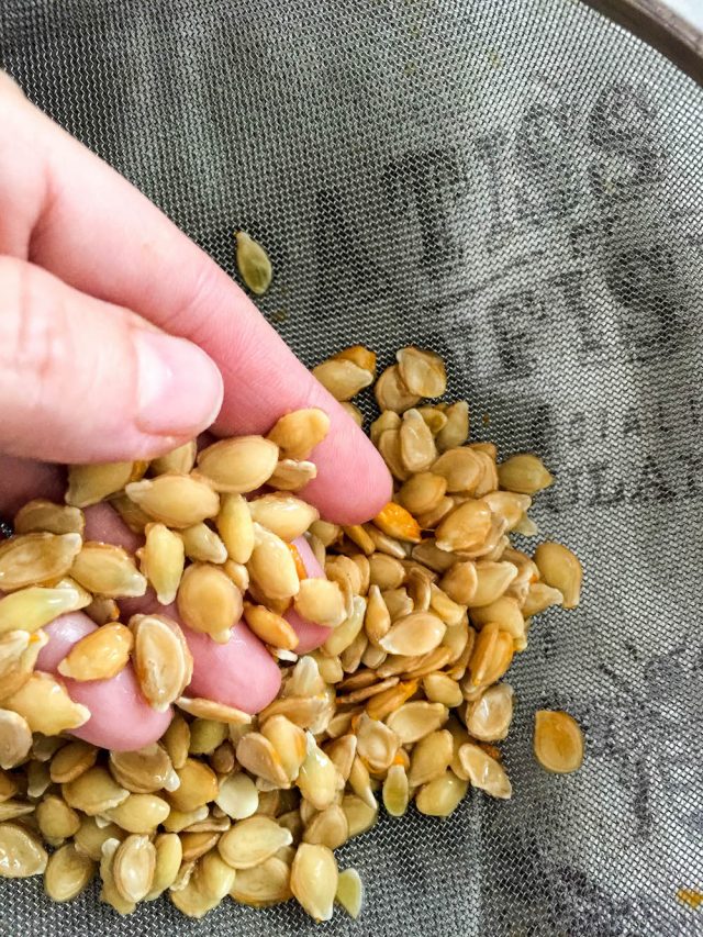 How to Toast Pumpkin Seeds | In Jennie's Kitchen