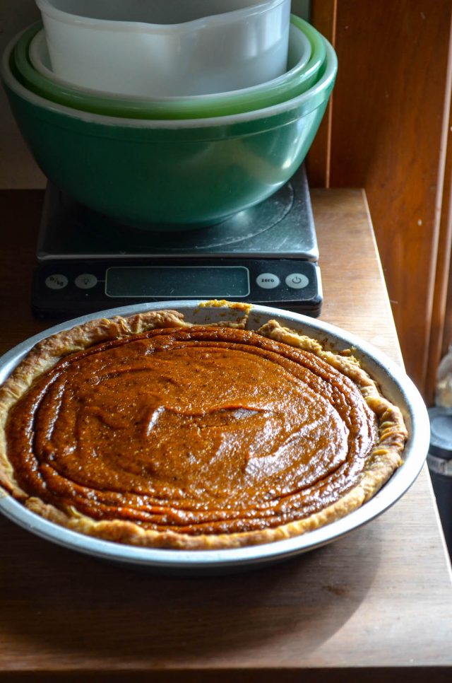 Salted Tahini Pumpkin Pie | In Jennie's Kitchen