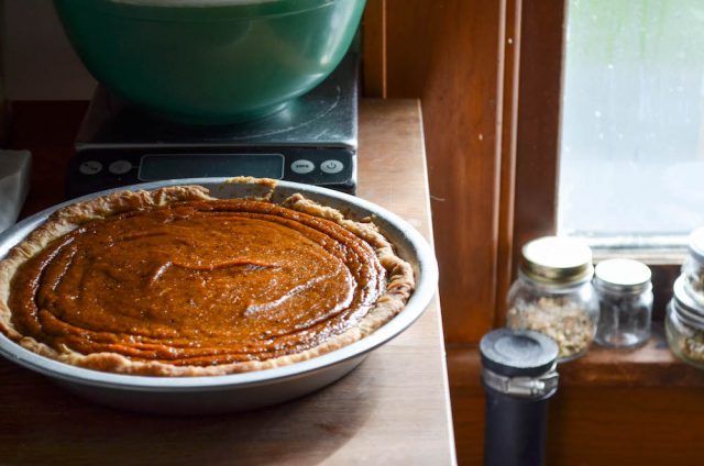 Salted Tahini Pumpkin Pie | In Jennie's Kitchen