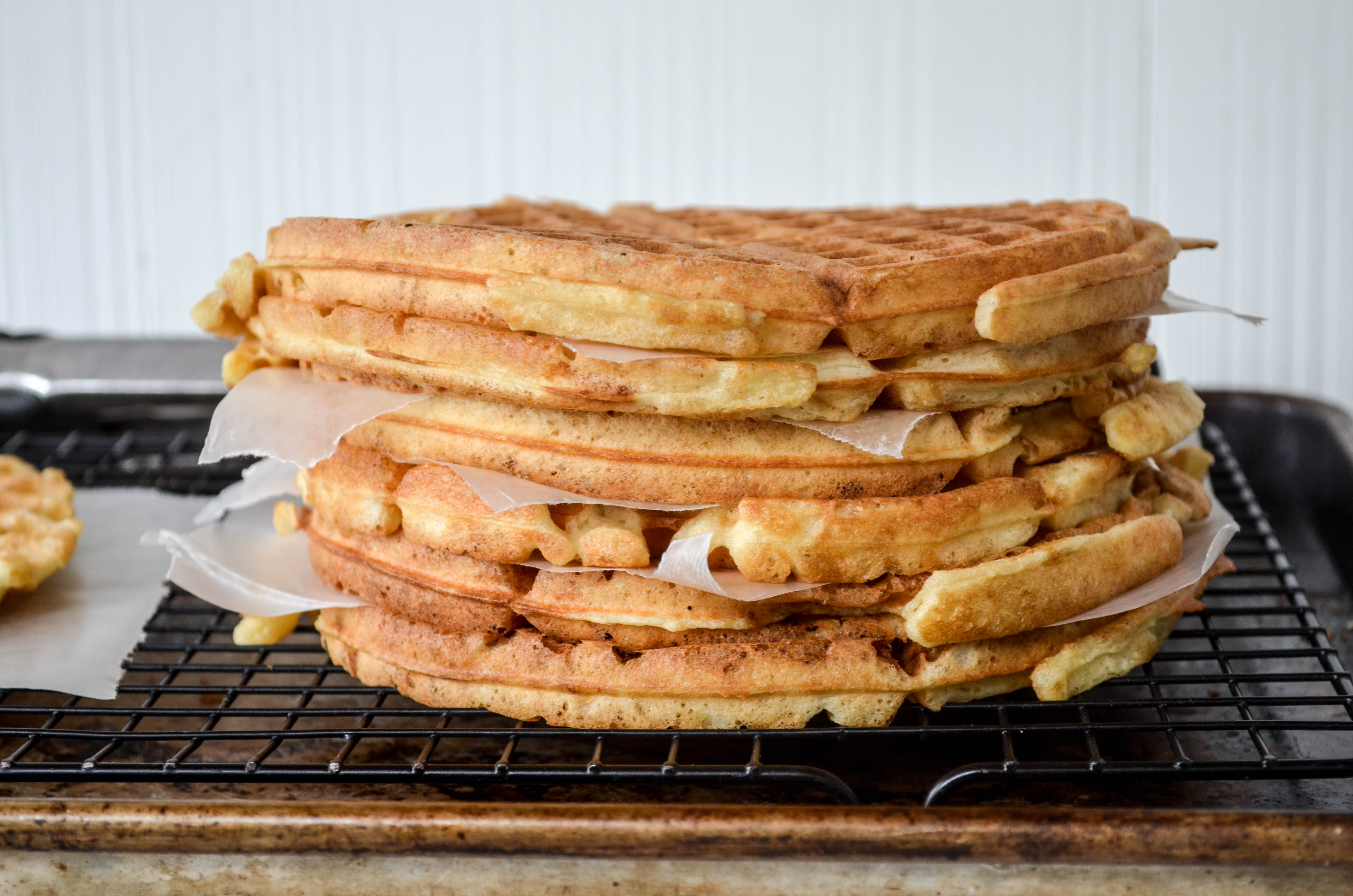 Sourdough starter recipes king arthur store